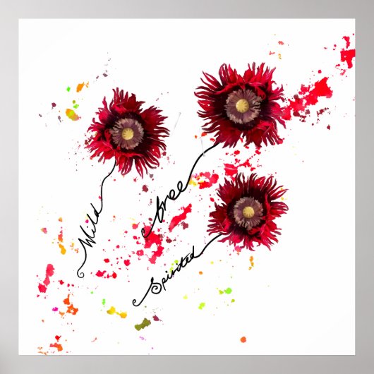 Wilde vrije, gespierde papaver wilde bloemen poster (Voorkant)