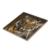 Wilde Waterverf van de tijger van Siberië - Schild Tegeltje (Zijkant)