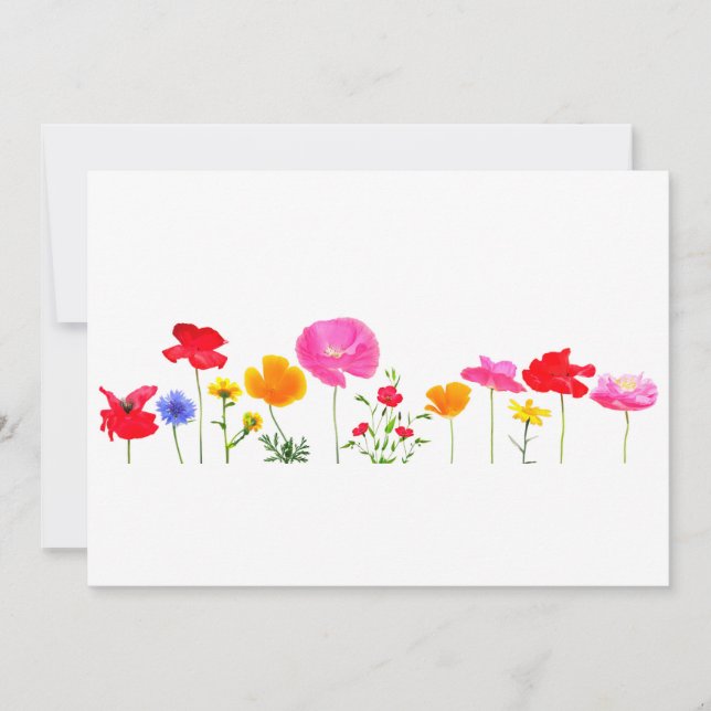 wilde weidebloemen (Voorkant)