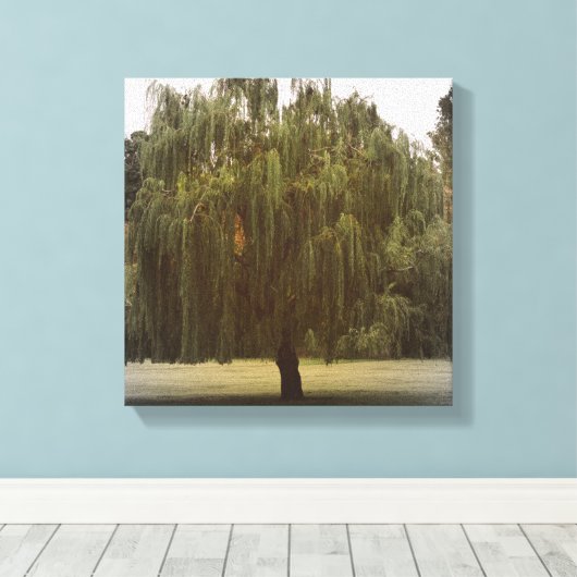 Wilde weideboom canvas afdruk (Insitu (Houten vloer))