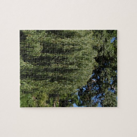 Wilde weideboom legpuzzel (Horizontaal)