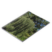 Wilde weideboom notitieboek (Linkerzijde)