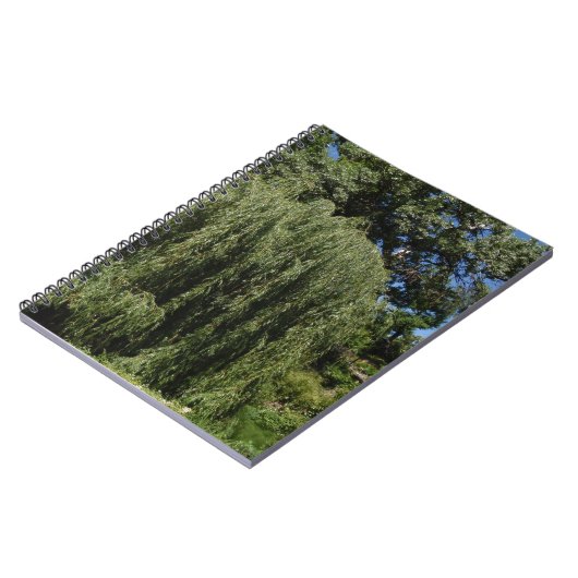 Wilde weideboom notitieboek (Linkerzijde)