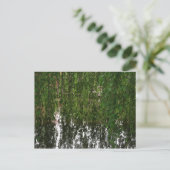 Wilde wekken met briefkaart van vijver (Staand voorkant)