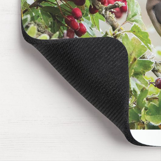 Wilde Wenskaarten - Cedar Waxing Muismat (Hoek)