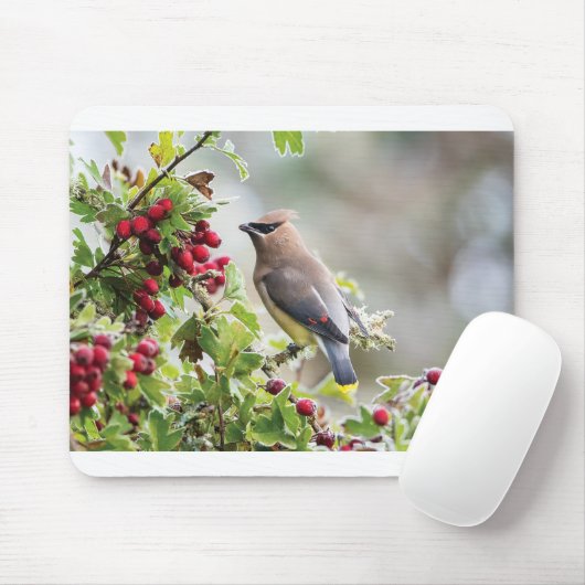 Wilde Wenskaarten - Cedar Waxing Muismat (Met muis)