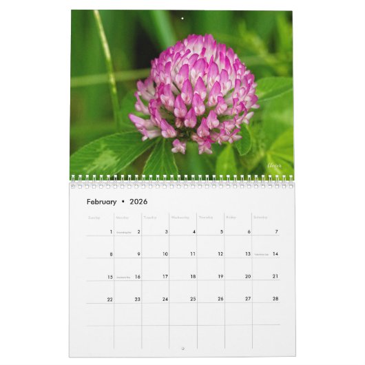 Wilde wilde bloemen #1 kalender (Feb 2026)