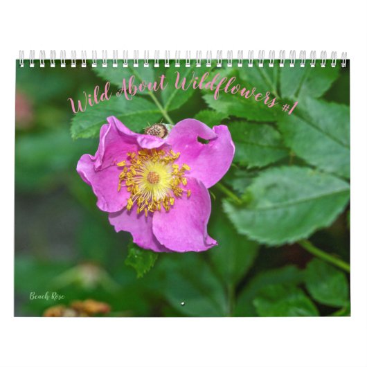 Wilde wilde bloemen #1 kalender (Hoes)