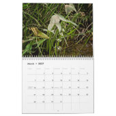 Wilde wilde bloemen #1 kalender (Mar 2027)