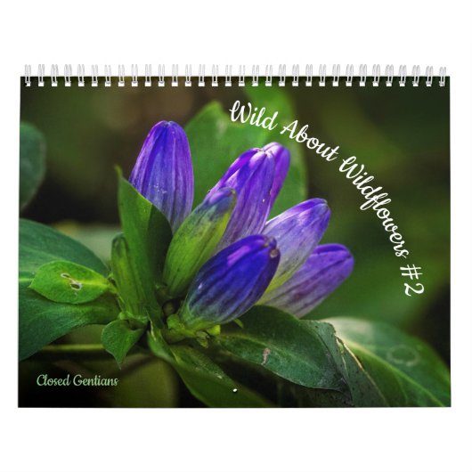 Wilde wilde bloemen #2 kalender (Hoes)