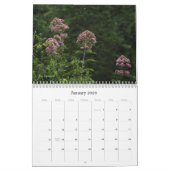 Wilde wilde bloemen #2 kalender (Jan 2026)