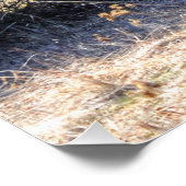 Wilde wintergecoate coyote in Forest Shadows Foto Perfect Poster (Hoek)