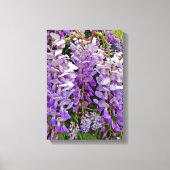 Wilde wisteria 11x16 canvas (Voorkant)