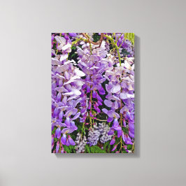 Wilde wisteria 11x16 canvas afdruk