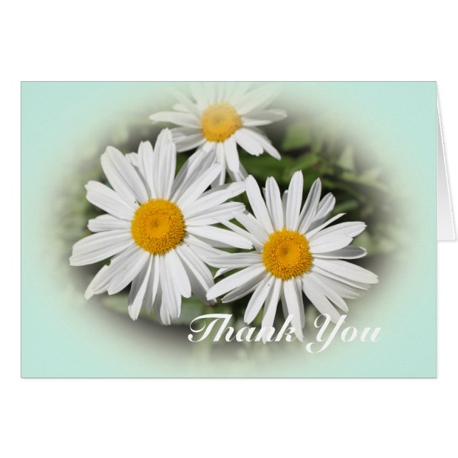 wilde witte daisy bloemen dank u (Voorkant Horizontaal)