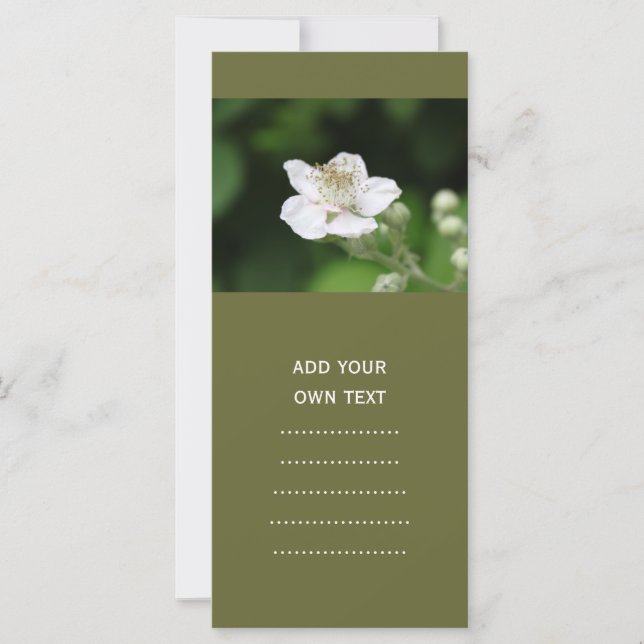 Wilde witte frambozenbloem. (Voorkant)