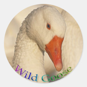 Wilde Witte Gans Vogel Wildlife Sticker