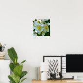 Wilde Witte Klimrozen Bloem Plein Poster (Thuiskantoor)