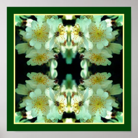 Wilde Witte Klimrozen Bloemstuk Abstract Poster (Voorkant)