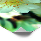 Wilde Witte Klimrozen Close-up Poster (Hoek)