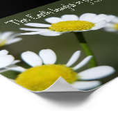 Wilde Witte Madeliefjes Poster (Hoek)