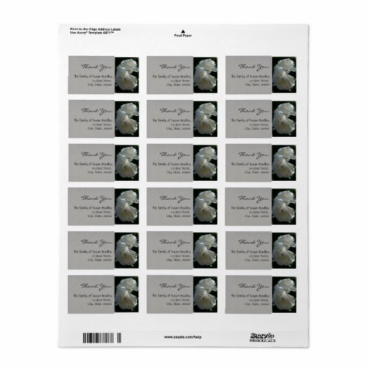Wilde witte rozen Dank u Etiket 1 (Full Sheet)