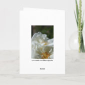 Wilde witte rozen wenskaart kaart (Achterkant)