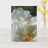 Wilde witte rozen wenskaart kaart (Gele Bloem)