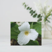 Wilde witte trillium briefkaart (Staand voorkant)