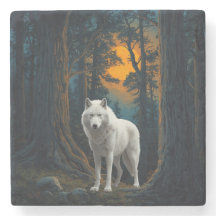 Wilde Witte Wolf Onder Maneschijn Bosdier