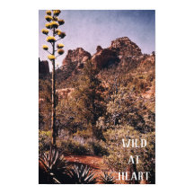 Wilde woestijncactus Verkennen Natuur Wilderheid