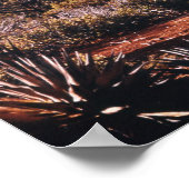 Wilde woestijncactus Verkennen Natuur Wilderheid Poster (Hoek)