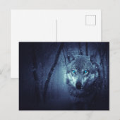 Wilde Wolf met mooie blauwe ogen Briefkaart (Voorkant / Achterkant)