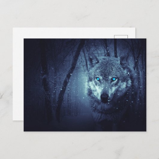 Wilde Wolf met mooie blauwe ogen Briefkaart (Voorkant / Achterkant)