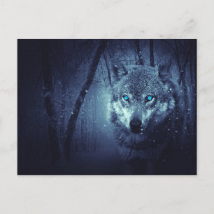 Wilde Wolf met mooie blauwe ogen Briefkaart