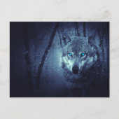 Wilde Wolf met mooie blauwe ogen Briefkaart (Voorkant)