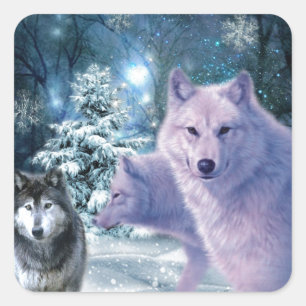 Wilde wolven van Majestic in het bos Vierkante Sticker