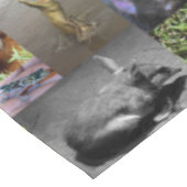 Wilde Wonders: Boeiende Australische Fotocollage Tafelkleed (Gekanteld)