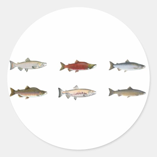 Wilde zalm ronde sticker (Voorkant)