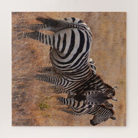 Wilde Zebra op African Plain Legpuzzel (Horizontaal)