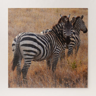 Wilde Zebra op African Plain Legpuzzel