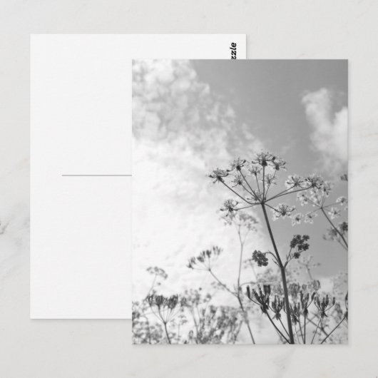 Wilde Zomer Briefkaart (Voorkant / Achterkant)