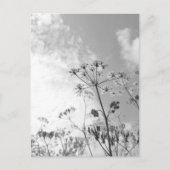 Wilde Zomer Briefkaart (Voorkant)
