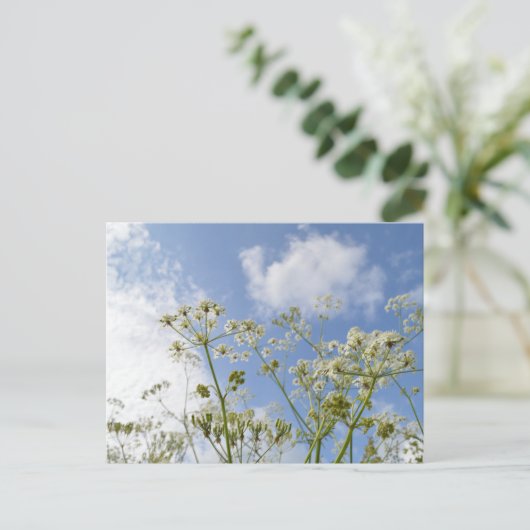 Wilde Zomer Briefkaart (Staand voorkant)