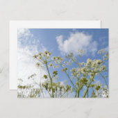 Wilde Zomer Briefkaart (Voorkant / Achterkant)