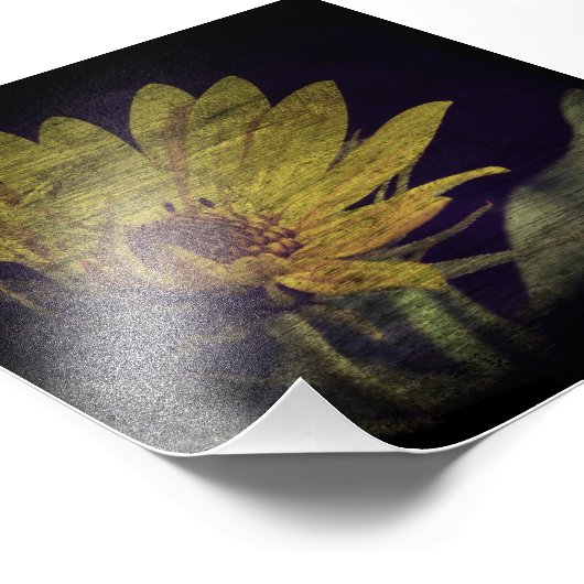 Wilde zonnebloem foto afdruk (Hoek)