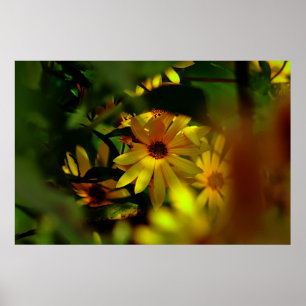 Wilde zonnebloem poster