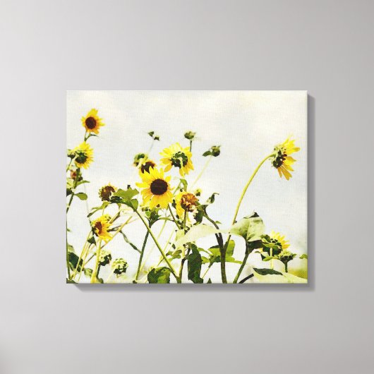 Wilde Zonnebloemen en Grijze Hemel Kunst Canvas Pr (Voorkant)