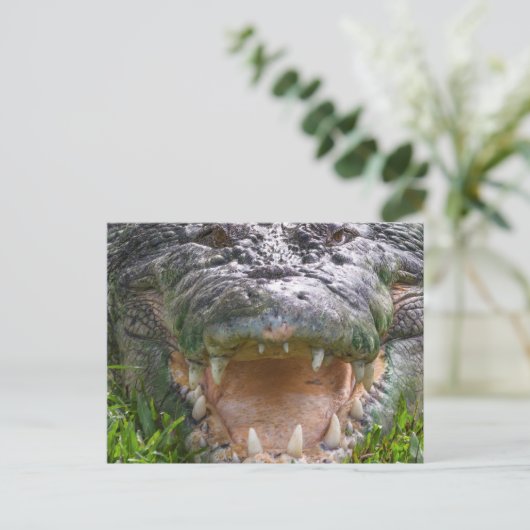 Wilde zout van zeewater krokodilmond open briefkaart (Staand voorkant)