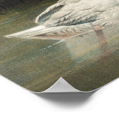 Wilde Zwarte Hals Zwaan Familie Kunst Poster (Hoek)